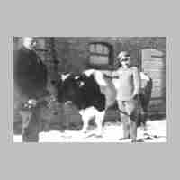 027-0075 Von links Hermann Witt und Egon Fischer mit dem Genossenschaftsbullen von Gross Engelau.jpg